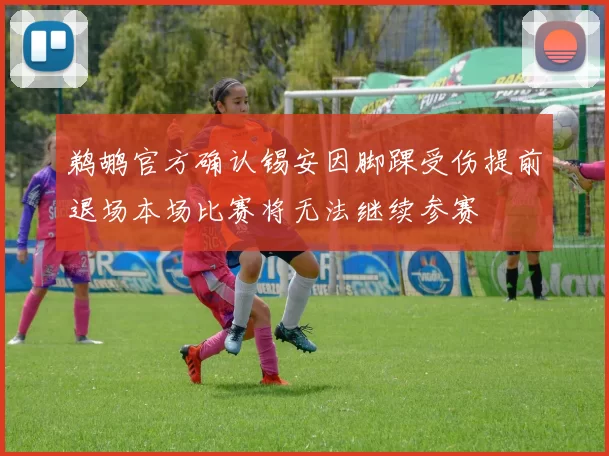 鹈鹕官方确认锡安因脚踝受伤提前退场本场比赛将无法继续参赛